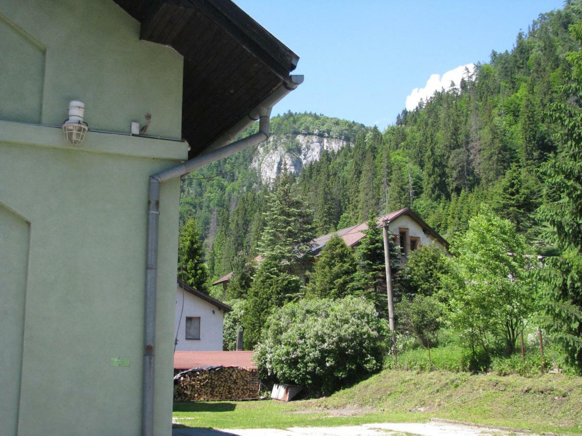 Penzion Borovica Stratená Exterior photo